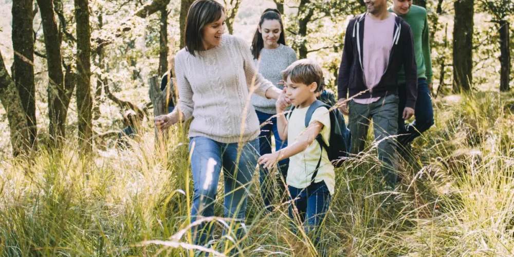 Top UK Family Excursions and Spring Activity Guide for 2026