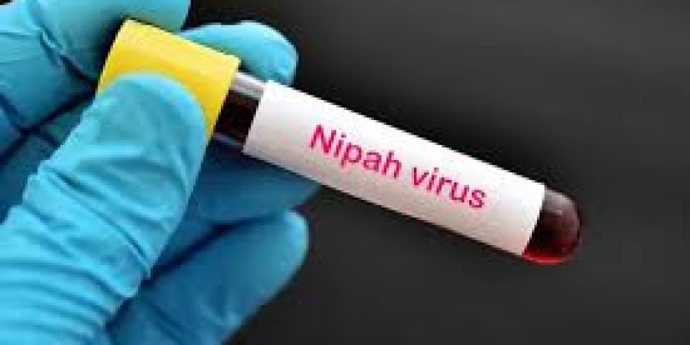 WHO Confirms Nipah Virus Case in Bangladesh Amid Regional Spread