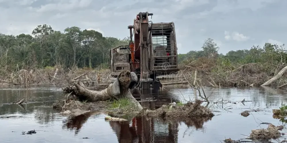 Hawaii Kona low flooding