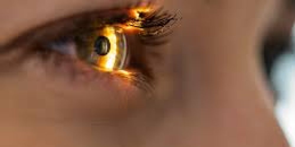 EyePoint Ocular Therapeutix lawsuit