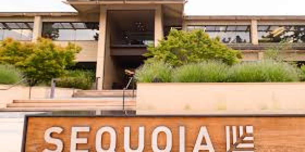 How Sequoia-Backed Ethos Successfully Navigated the Path to Public Markets