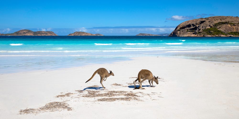 Audley Travel CEO Change