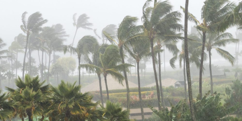 Storm Penha Hits Southern Philippines: Deaths and Displacement Rise